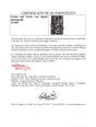 Certificate of authenticity – Freaks and Geeks cast – Freaks and Geeks cast signed photograph