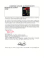 Certificate of authenticity – Max Minghella and Elisabeth Moss – Handmaids Tale cast signed photograph