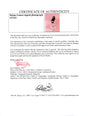 Certificate of authenticity – Selena Gomez – Selena Gomez signed photograph